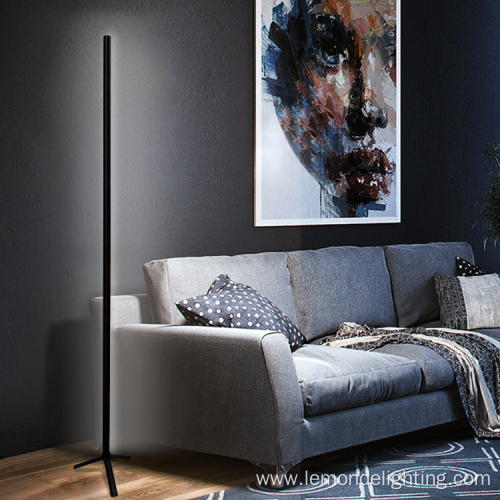 Modern Design Decorative Living Room Corner Floor Lamp